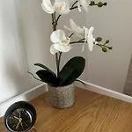 Mansarda Luxury Apartament