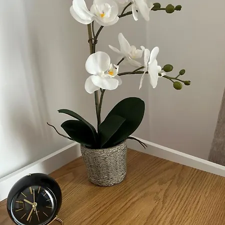 Mansarda Luxury Appartement